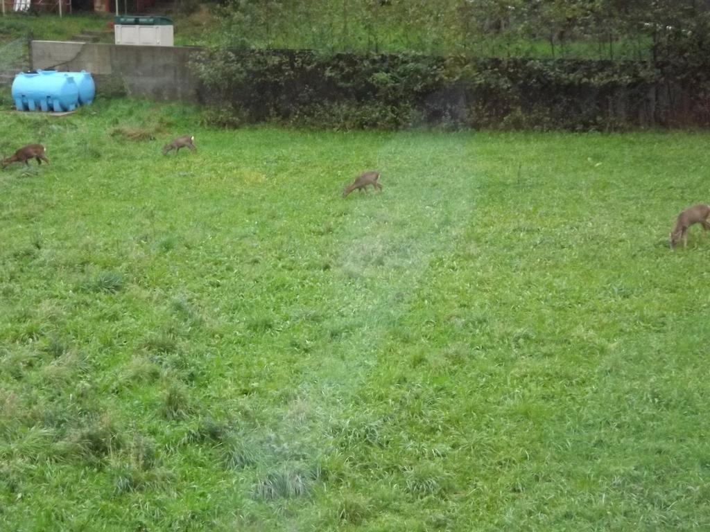 Albergo Ristorante Turchino Campo Ligure Zewnętrze zdjęcie